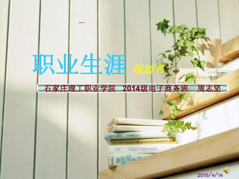 电子商务职业生涯规划书