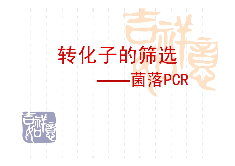 百-转化子的筛选---菌落PCR