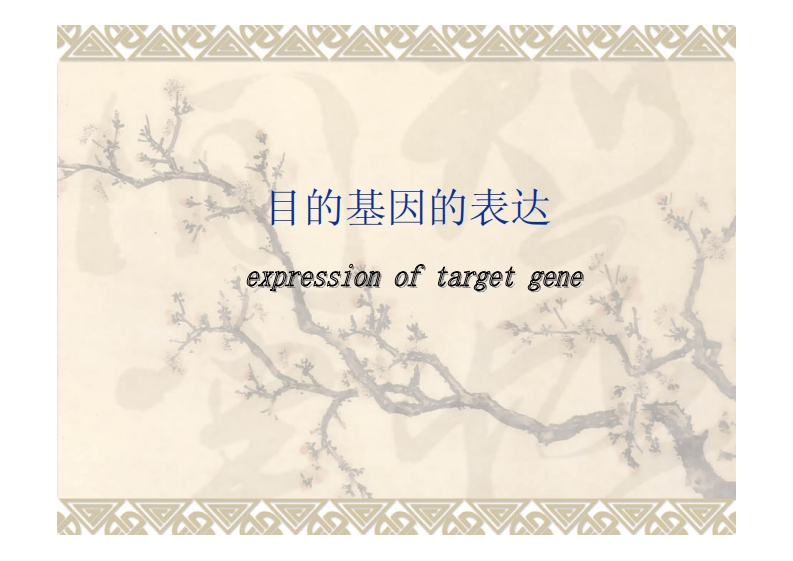 目的基因的表达