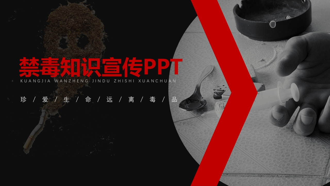 禁毒知识宣传-02新质力文库 - 聚焦新质生产力发展的数字化知识库_行业洞察 / 理论成果 / 实践指南免费下载新质力文库