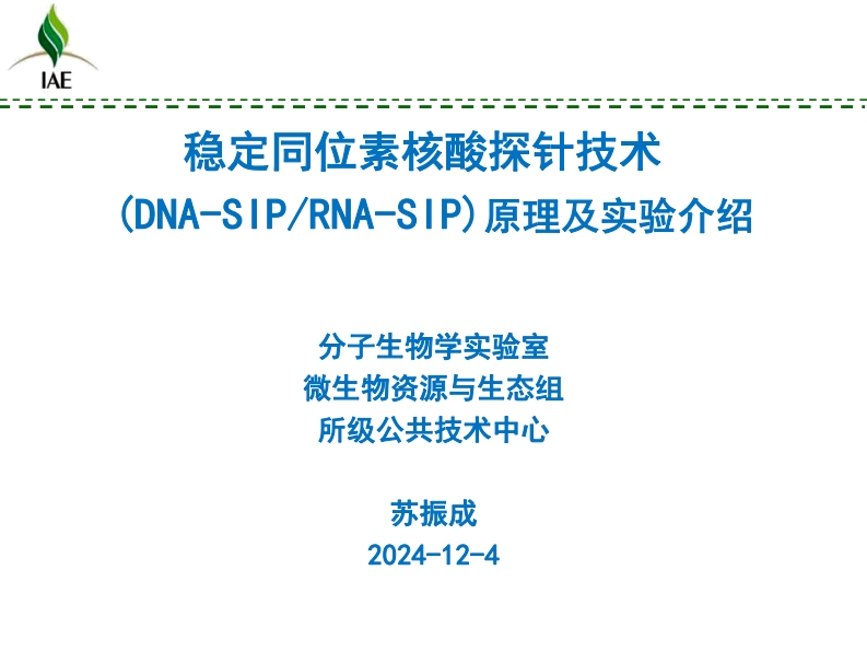 稳定同位素核酸探针技术