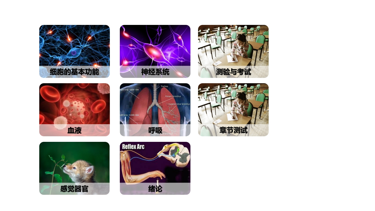 章节图片模板