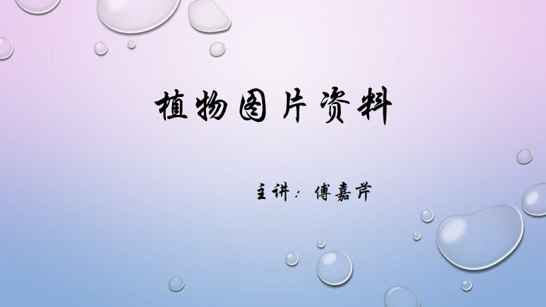 第9讲）植物图片赏析