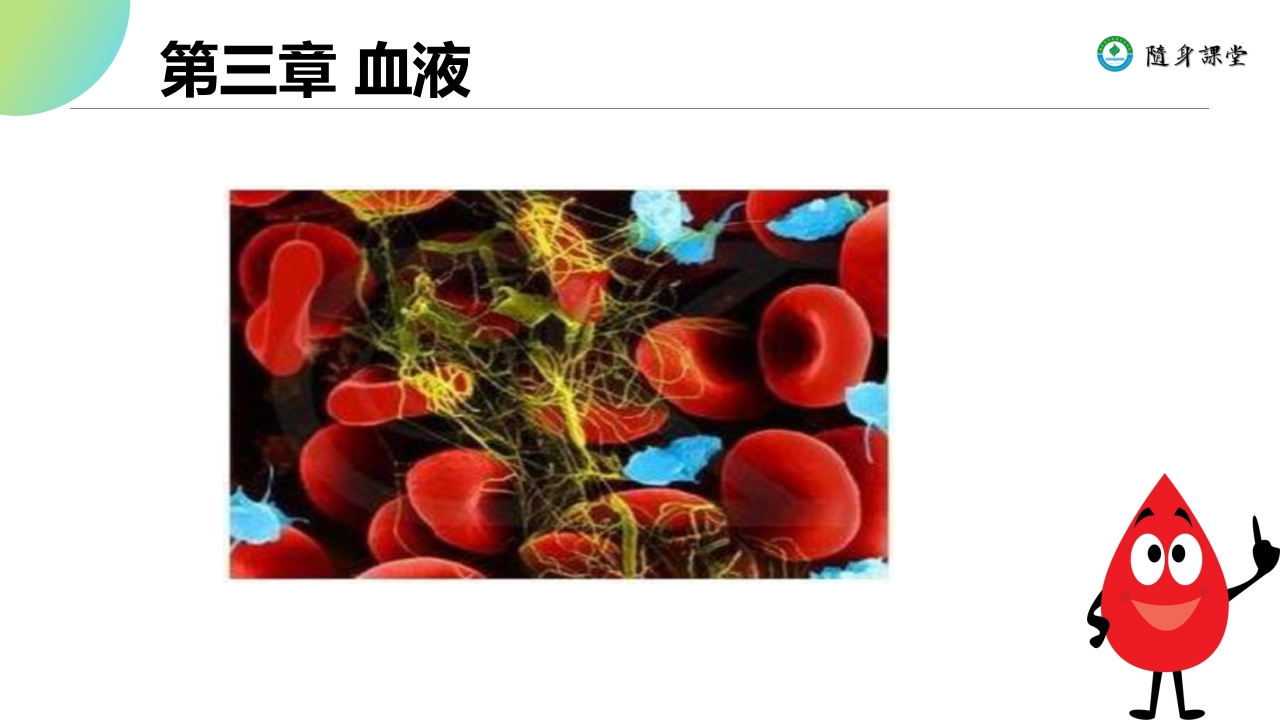 第三章血液
