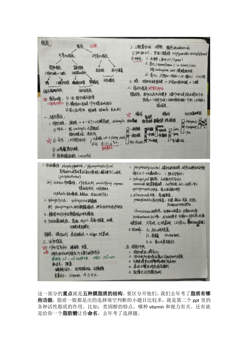 第八周总结脂质56