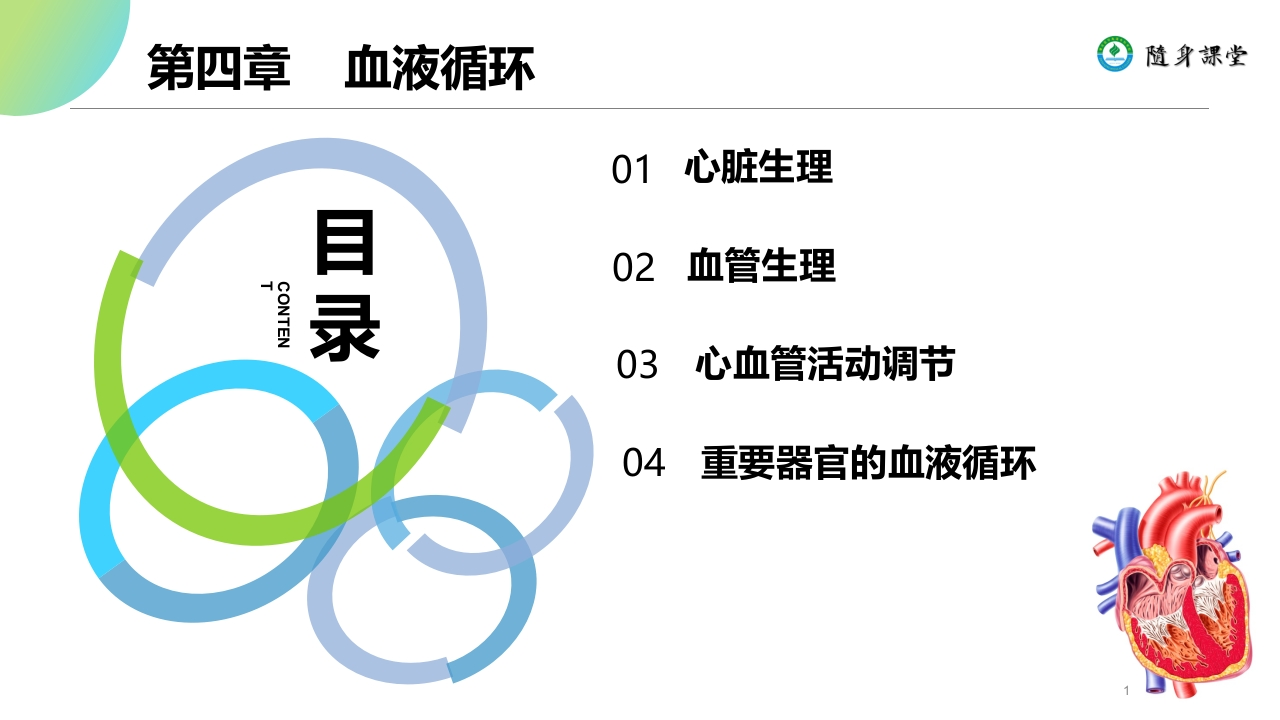 第四章循环系统