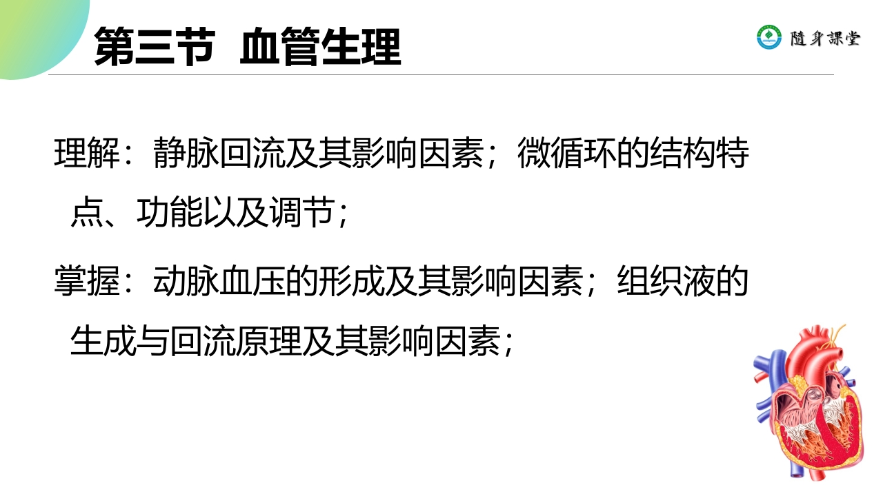 第四章循环系统2