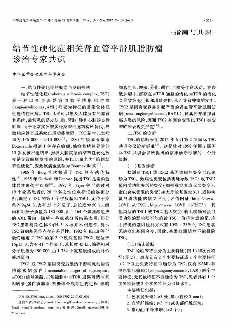 结节性硬化症相关肾血管平滑肌脂肪瘤诊治专家共识