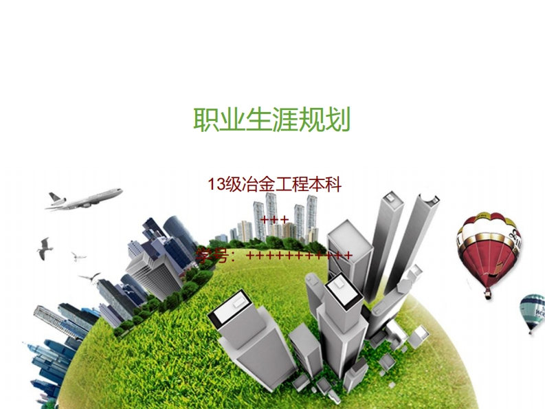 职业生涯规划13级冶金班严建川