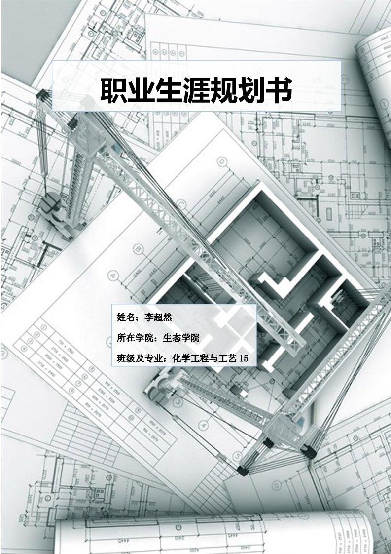 职业生涯规划化工