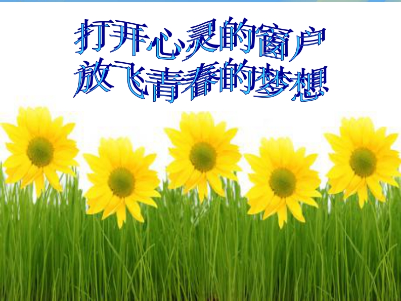 职业生涯规划宋晓阳--(恢复)