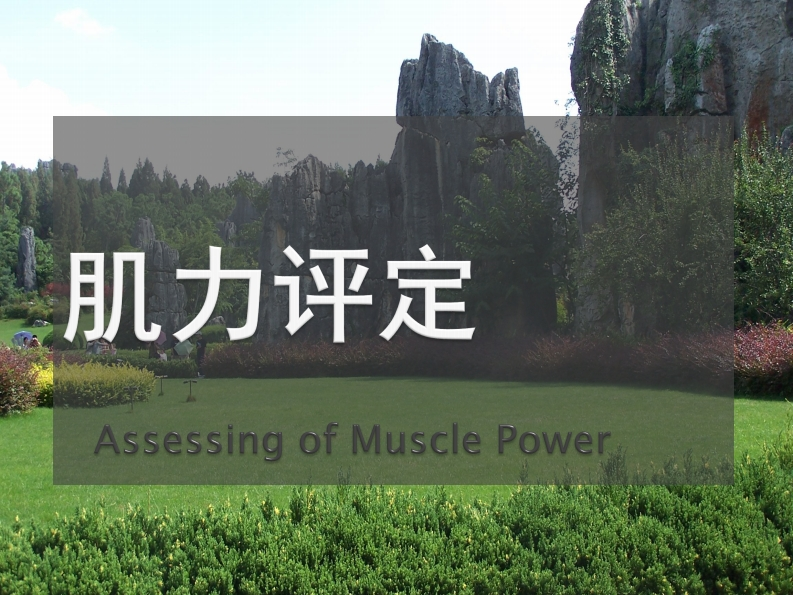 肌力评定技术新质力文库 - 聚焦新质生产力发展的数字化知识库_行业洞察 / 理论成果 / 实践指南免费下载新质力文库