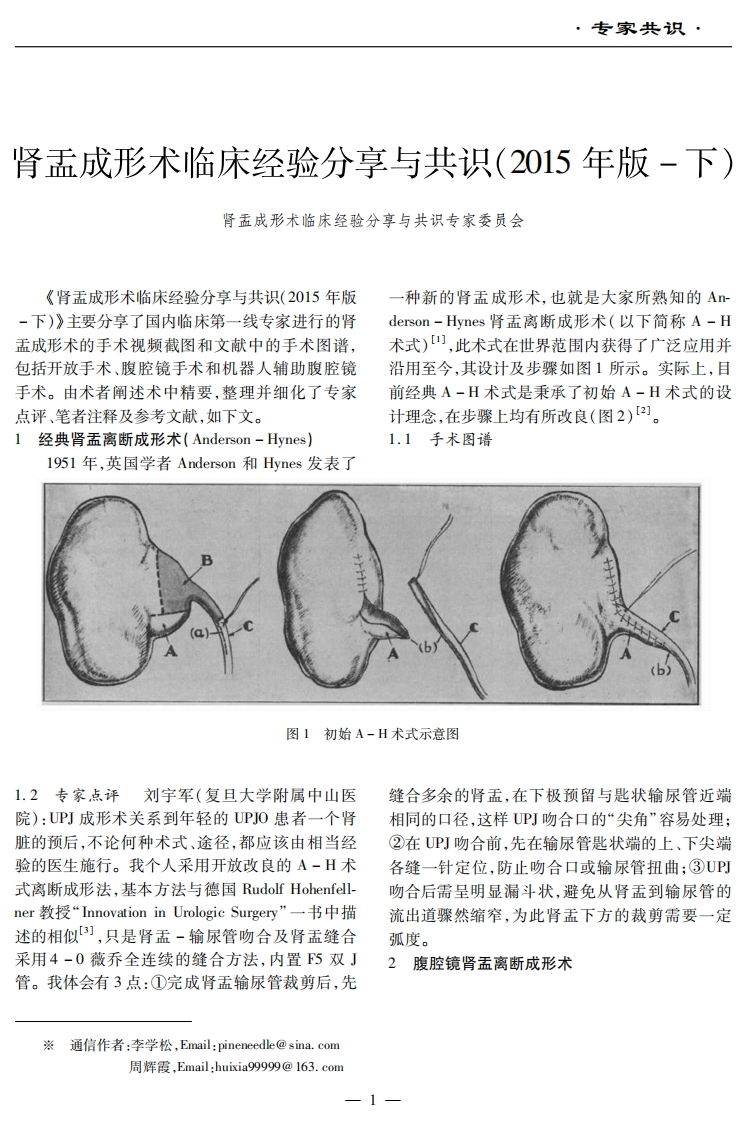 肾盂成形术临床经验分享与共识2015