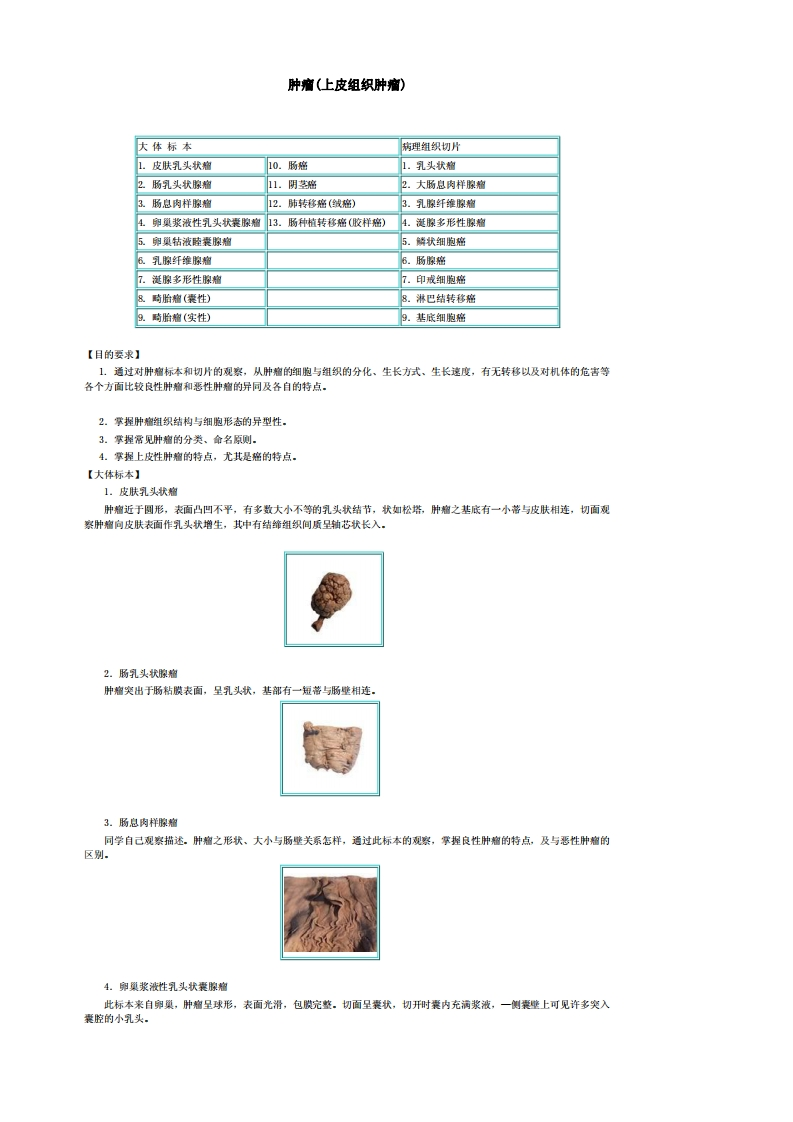 肿瘤