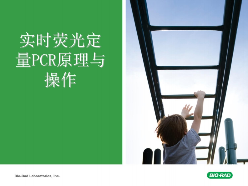 荧光定量检测方法—染料法，探针法