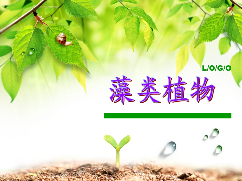 藻类植物新质力文库 - 聚焦新质生产力发展的数字化知识库_行业洞察 / 理论成果 / 实践指南免费下载新质力文库