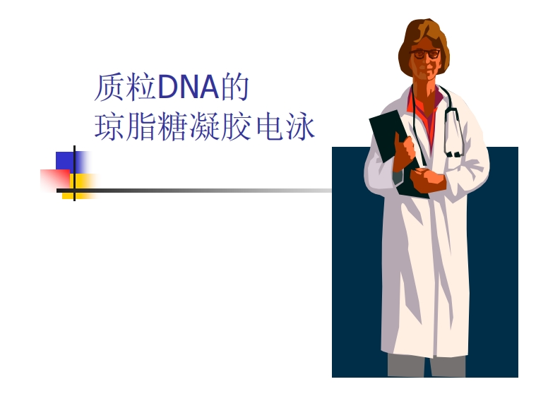 质粒DNA的-琼脂糖凝胶电泳