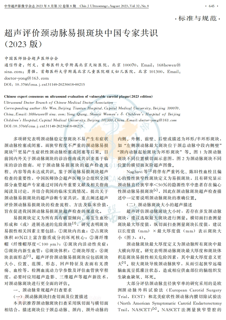 超声评价颈动脉易损斑块中国专家共识(2023版)