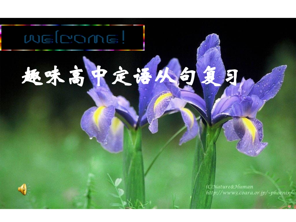 趣味定语从句复习课件