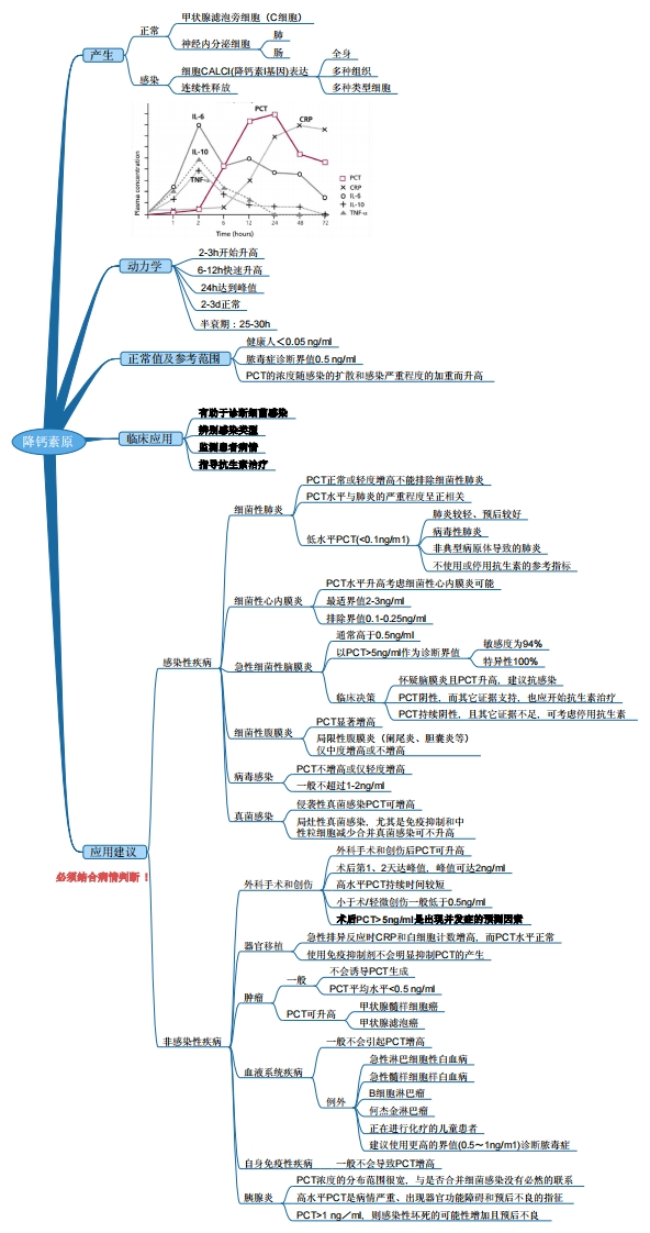 降钙素原PCT思维导图