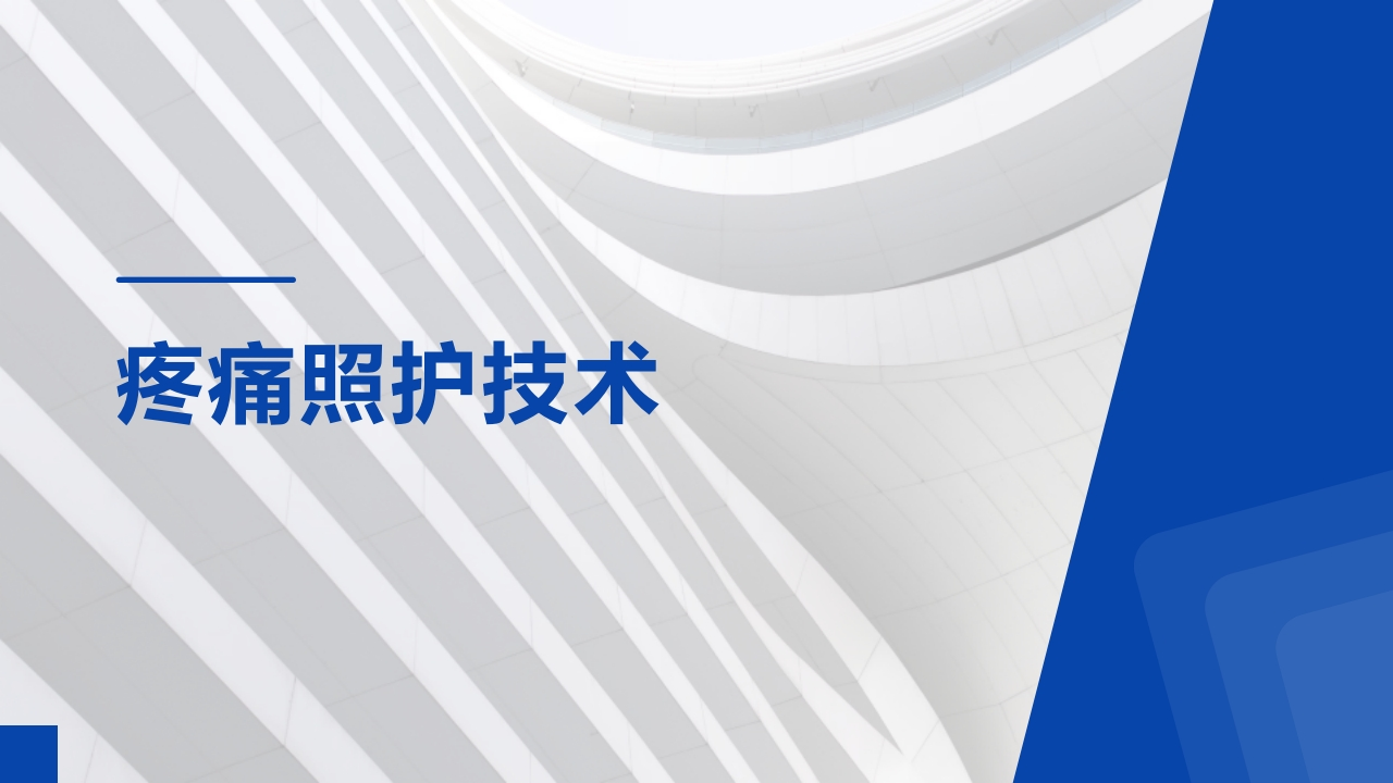 项目四任务二