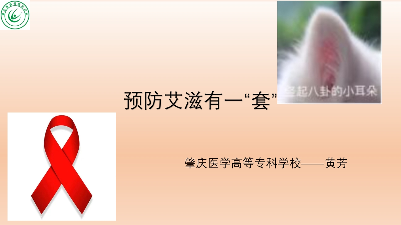 预防艾滋病病毒感染--黄芳